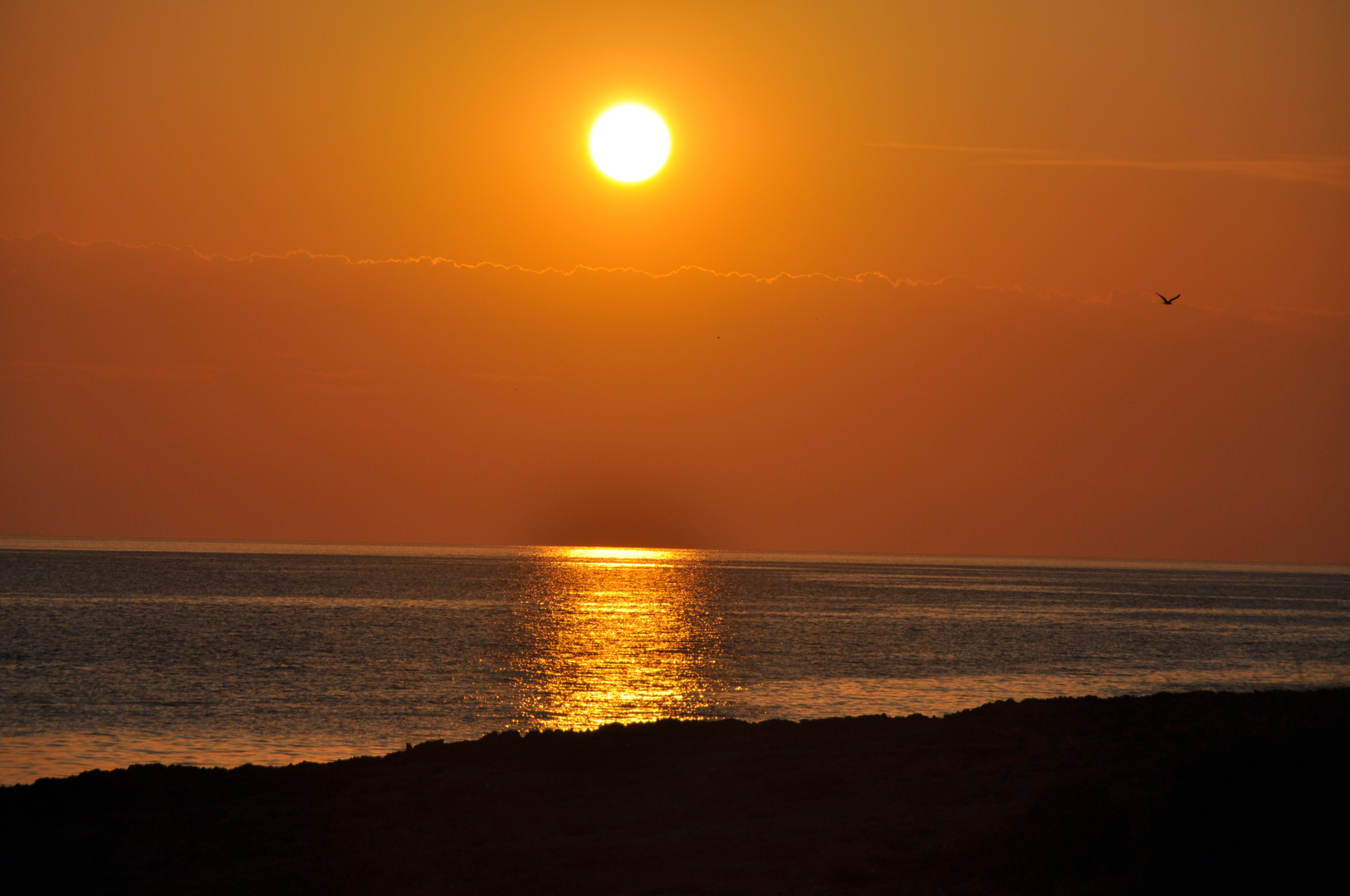 Ibiza sunset 2010