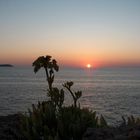 Ibiza Sunset