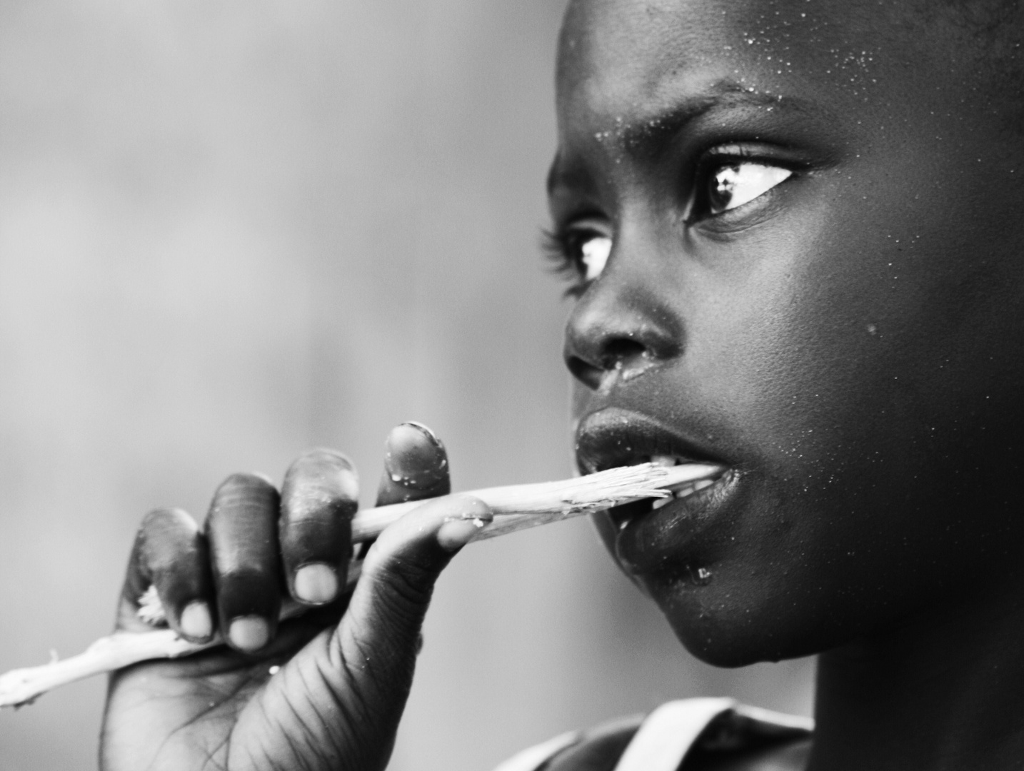 "Ibrahim & la brosse à dent Senegalaise"