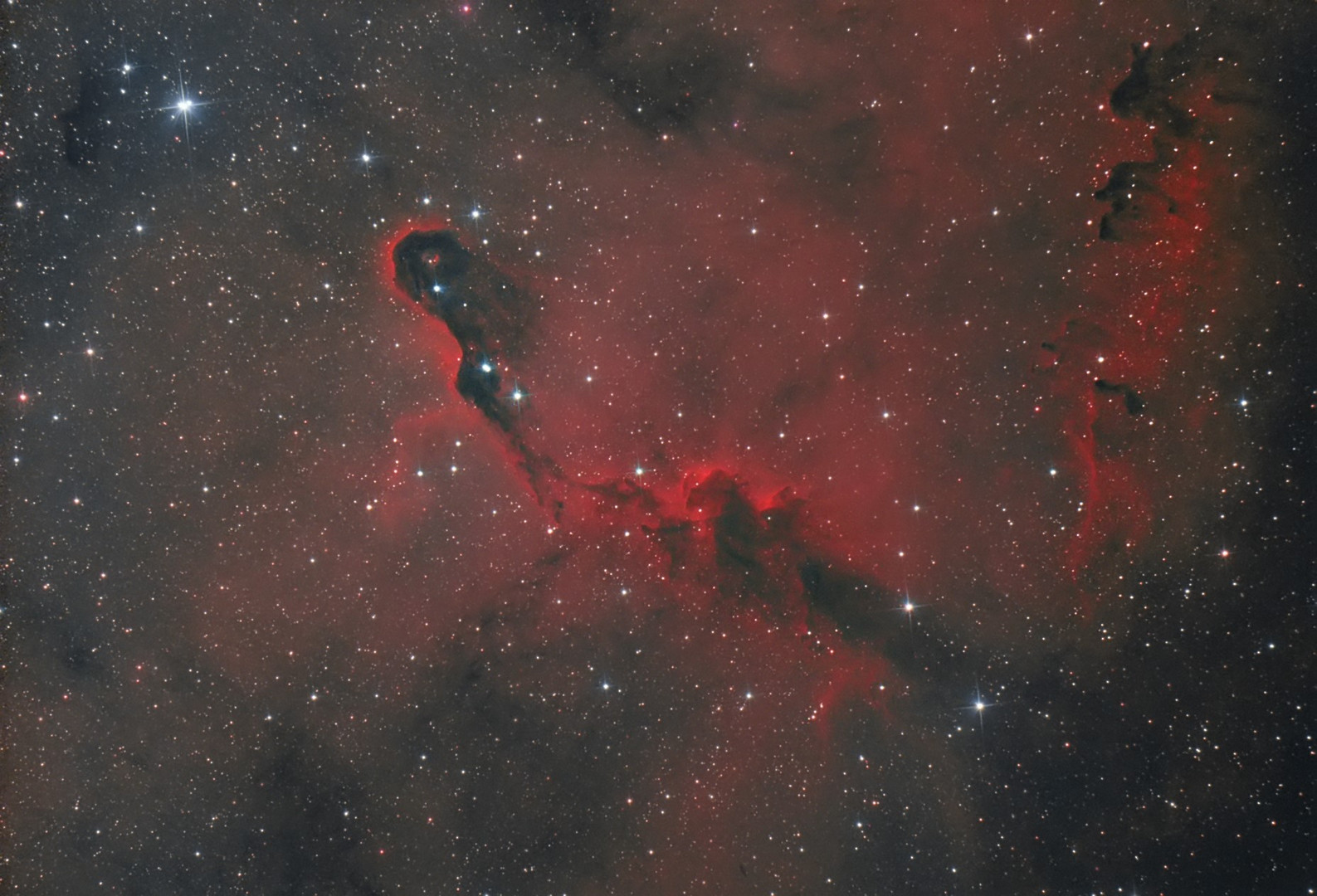 IC 1369 Elephant trunk