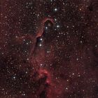 IC 1396