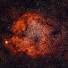 IC 1396