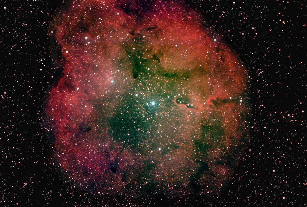 ... IC 1396 ... 