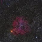 IC 1396