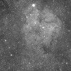 IC 1396 analog mit der Schmidtkamera