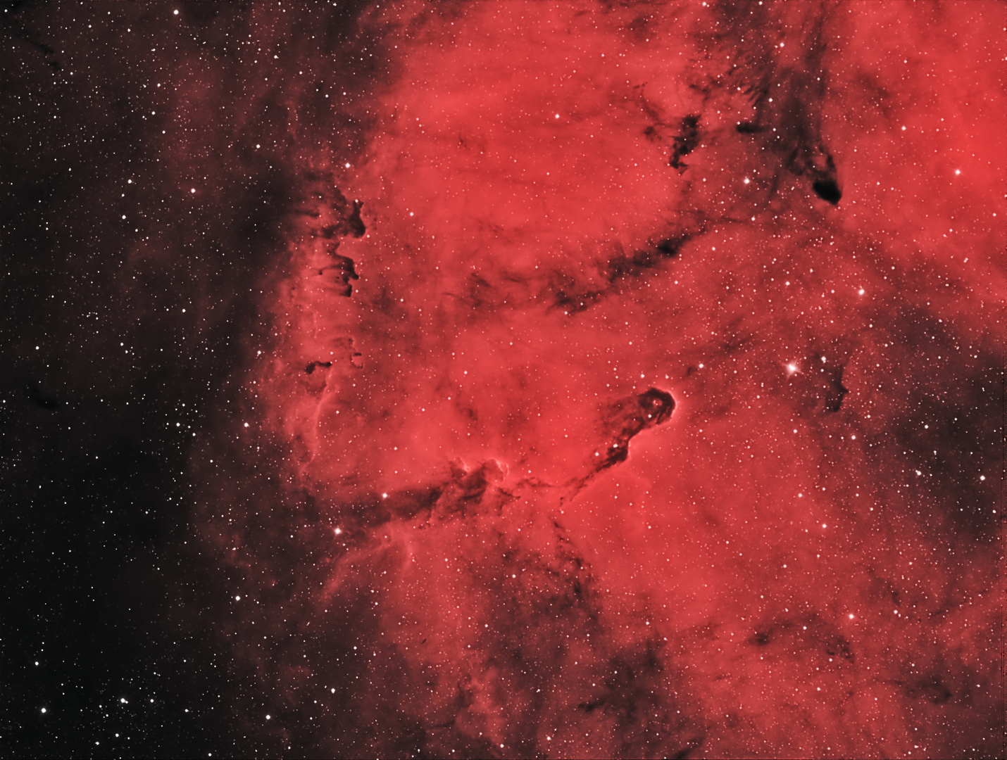 IC 1396