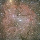 IC 1396