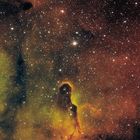 IC 1396 Elephant's Trunk