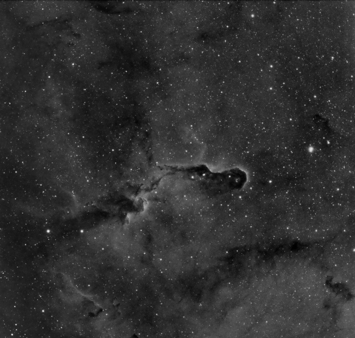 IC 1396 h alpha