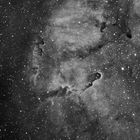 IC 1396 H-Alpha