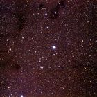 IC 1396 im Kepheus