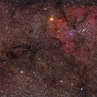 IC 1396 und Milchstraßenregion im Cepheus