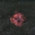 IC 1396 - Widefield (135 mm) ein wahres Juwel