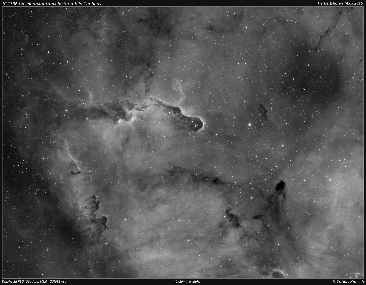 IC 1396A _H-Alpha_web