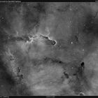 IC 1396A _H-Alpha_web