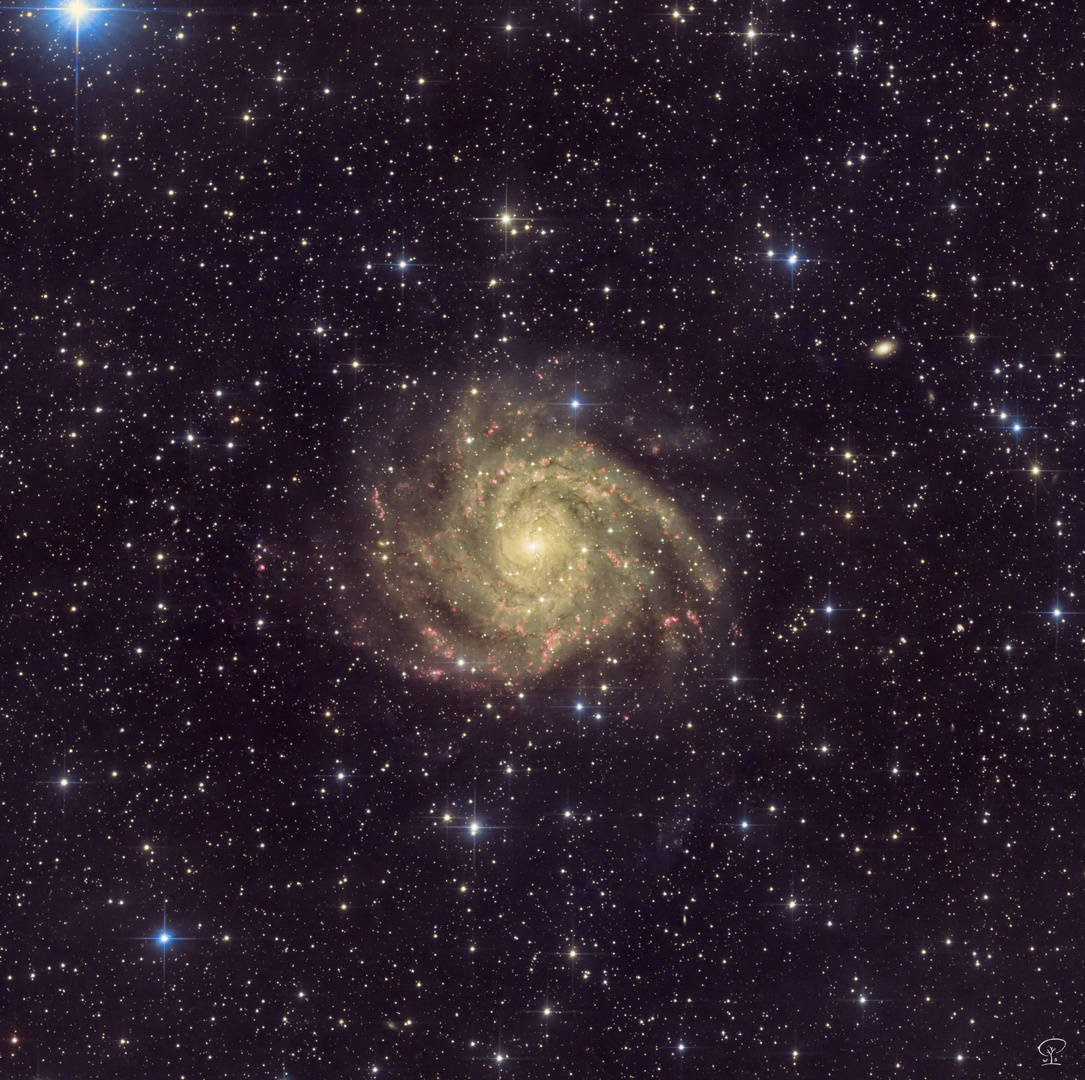 IC 342, die verborgene Galaxie