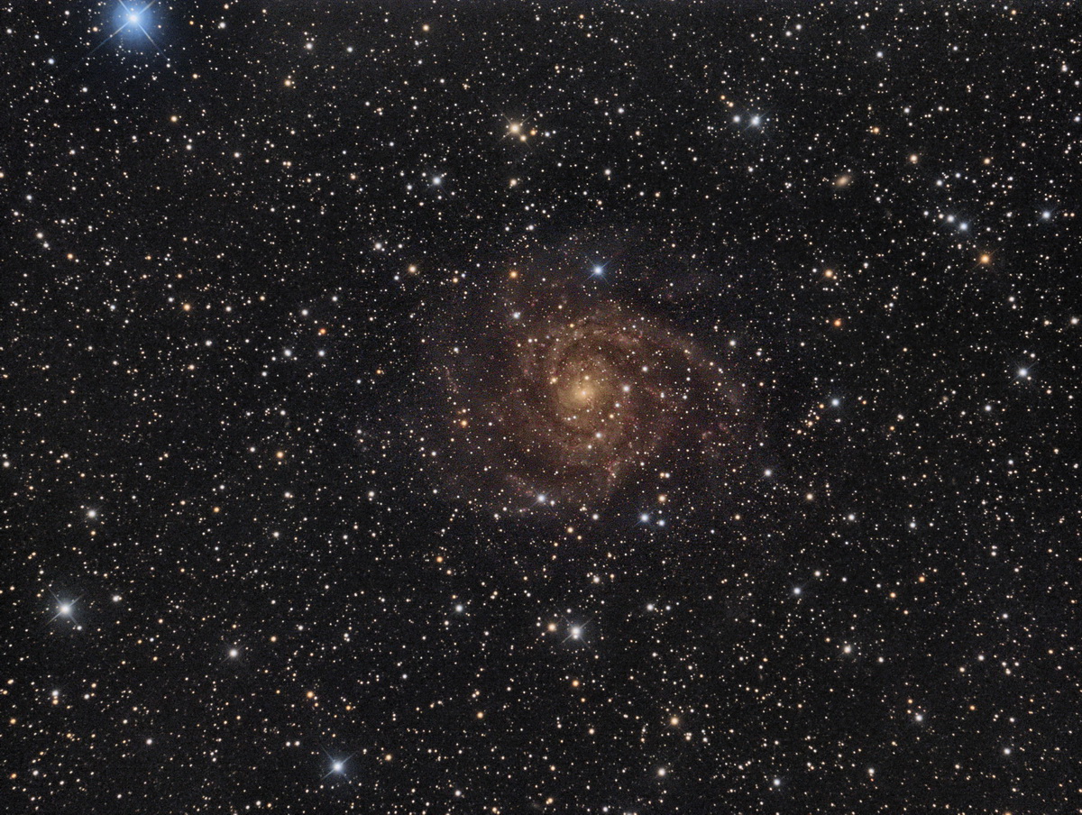 IC 342 - Die Versteckte Galaxie