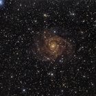 IC 342 - Die Versteckte Galaxie