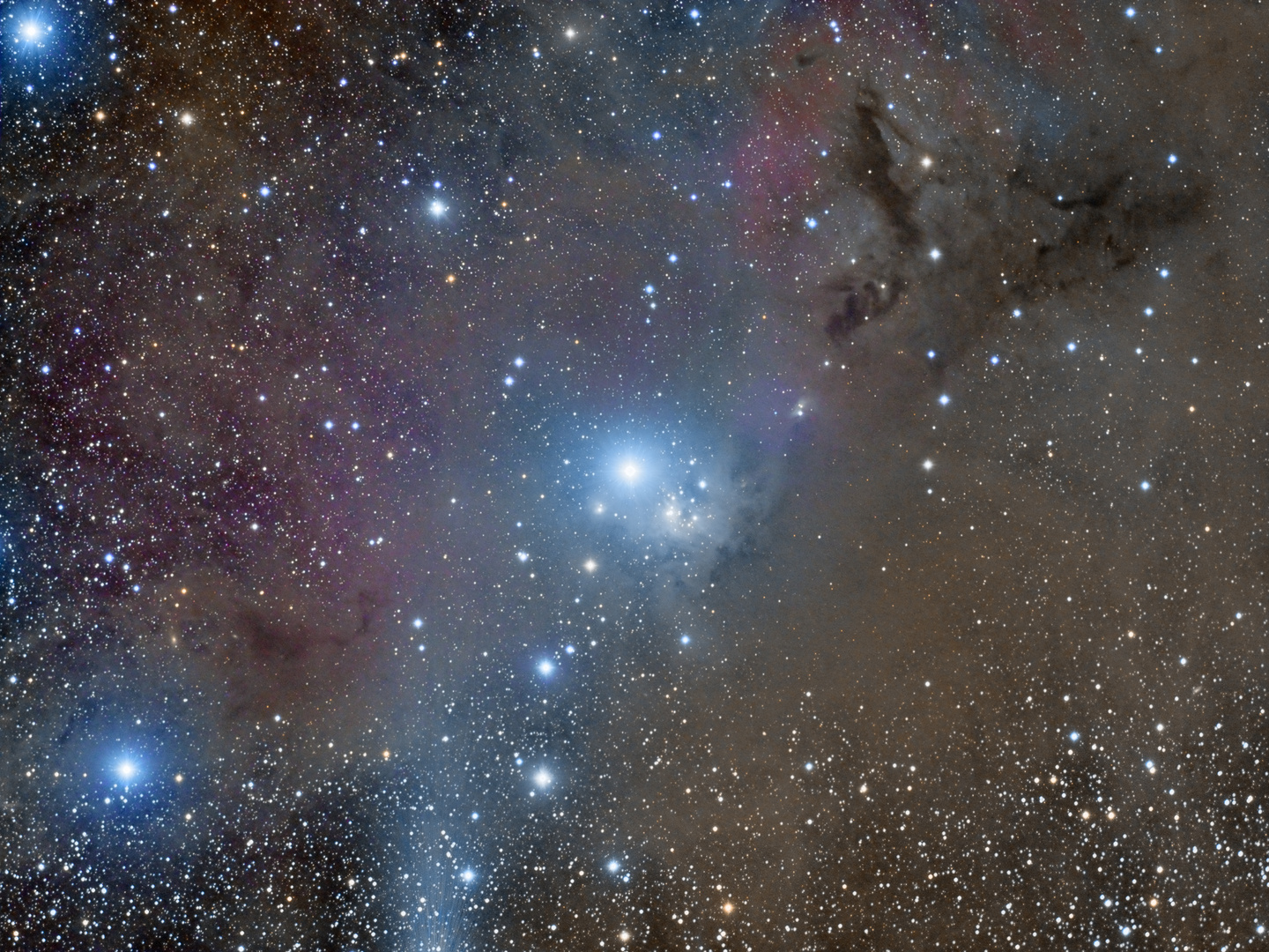 IC 348