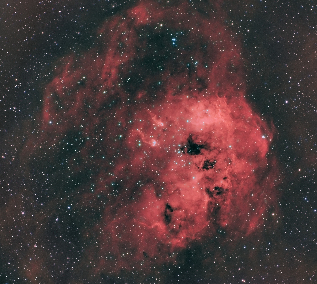 IC 410