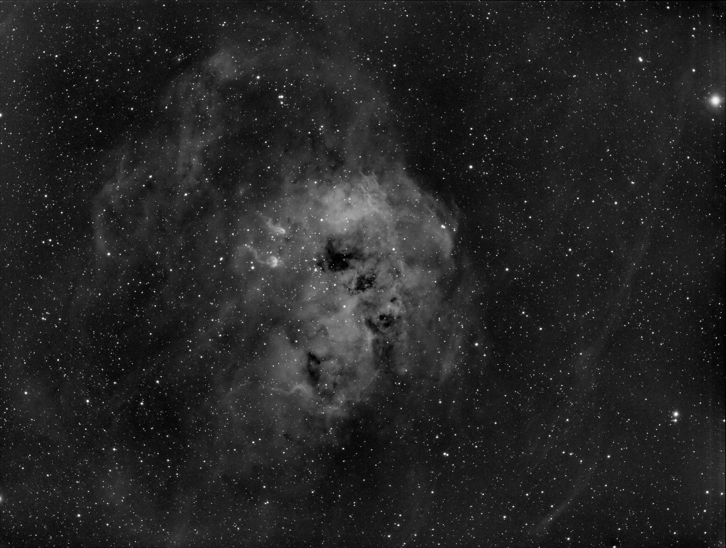 IC 410 h alpha