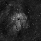 IC 410 h alpha