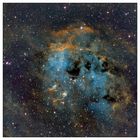 IC 410       Kaulquappen-Nebel