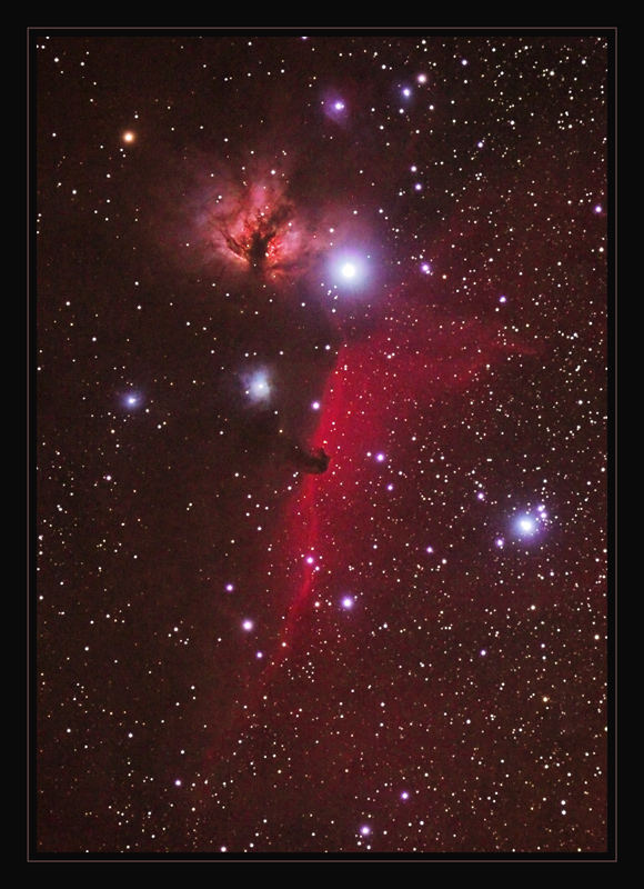IC 431 / IC432 / Flammennebel (NGC2024) / NGC 2023 / Pferdekopf / IC434