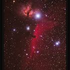 IC 431 / IC432 / Flammennebel (NGC2024) / NGC 2023 / Pferdekopf / IC434