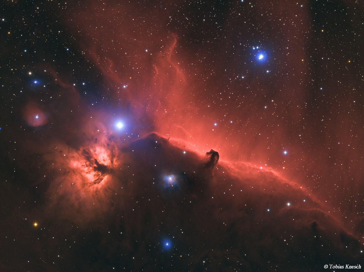 IC 434 in Farbe