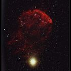 IC 443 Jellyfish