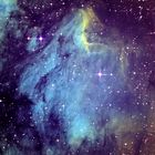 IC 5070 Pelikan Nebel