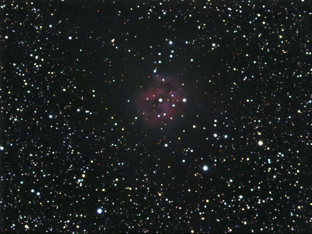 IC 5146 - Coconnebel