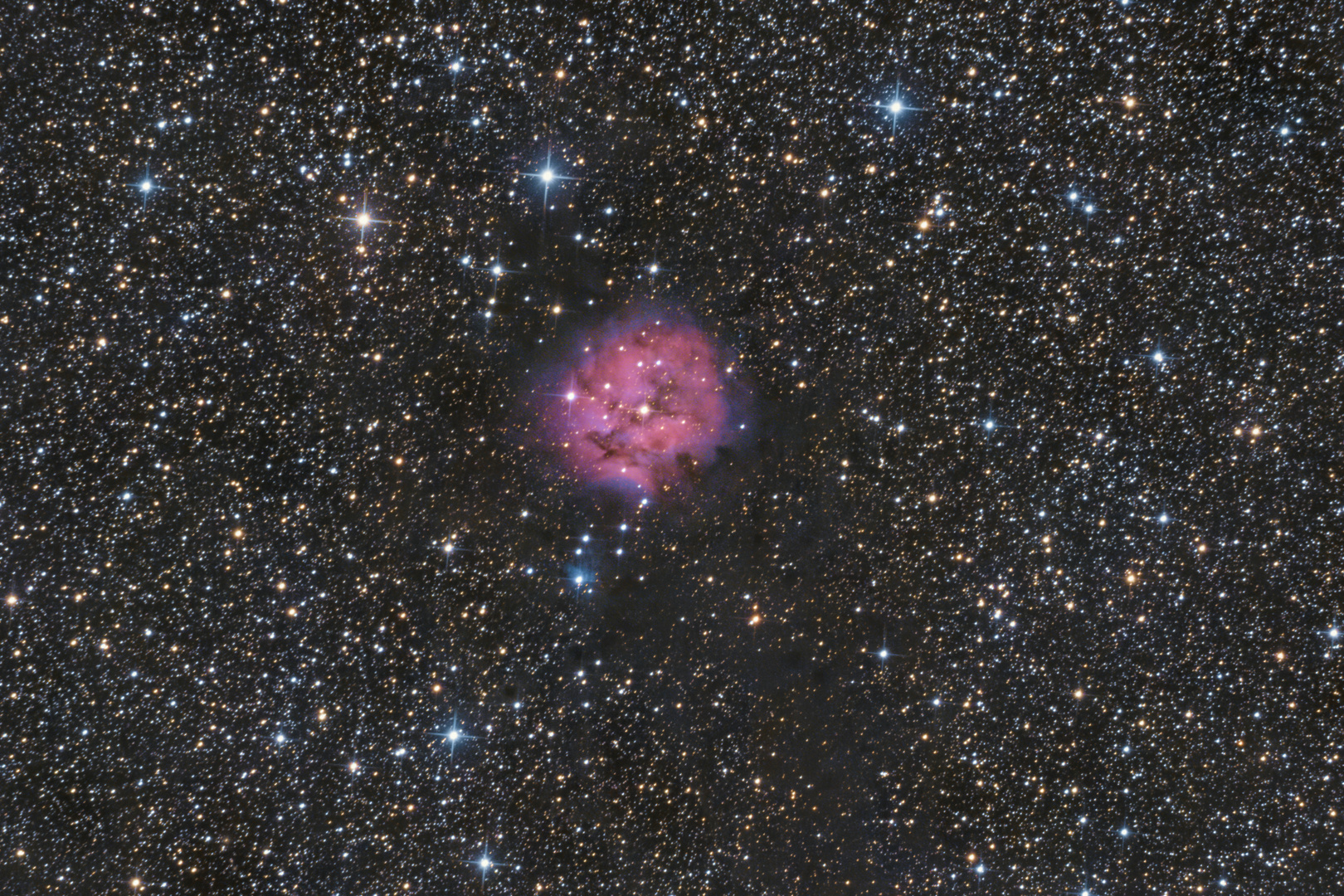 IC 5146 - Kokon-Nebel