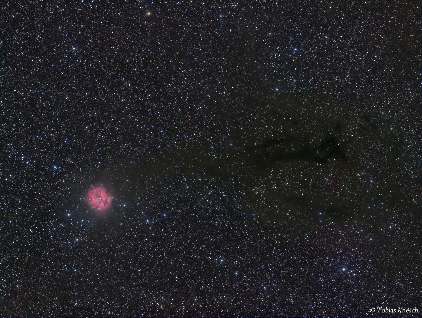 IC 5146 Kokon-Nebel und Dunkelnebel Barnard 168