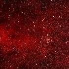 IC1311 in H-Alpha