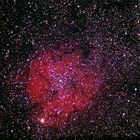 IC1396