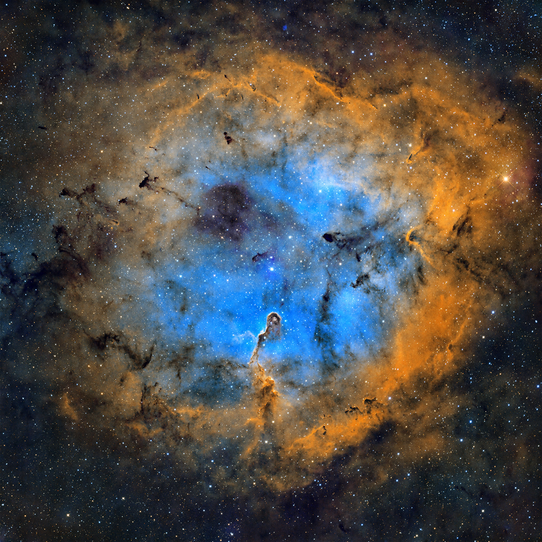 IC1396 