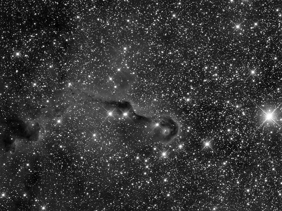 IC1396 Elefantenrüssel