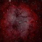 IC1396: Elefantenrüsselnebel im Sternbild Kepheus im H-Alpha/O-III -Licht