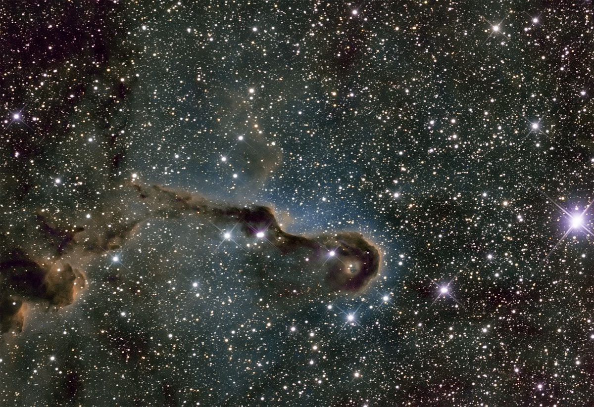 IC1396 Elefantenrussel