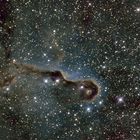 IC1396 Elefantenrussel