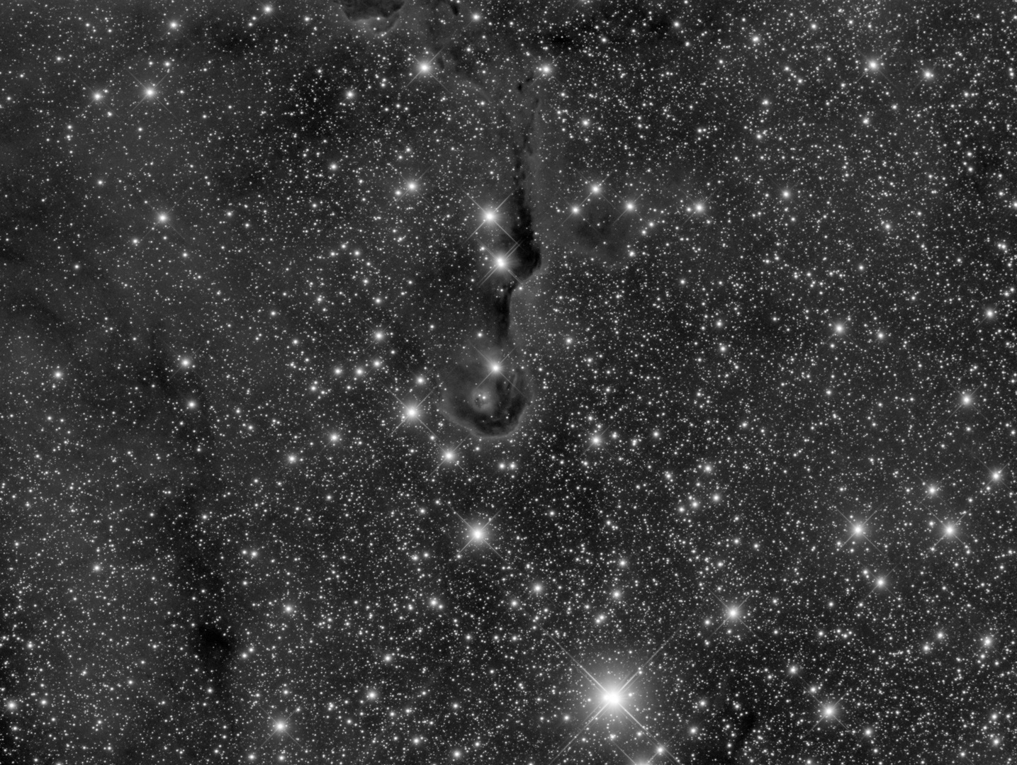 IC1396 Elephant's Trunk