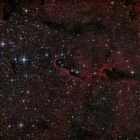 IC1396 Elephant's Trunk Nebulae