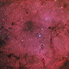 IC1396 HaRGB