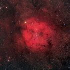 IC1396 im Sternbild Cepheus