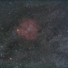 IC1396 - Widefield