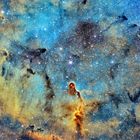 IC1396A der Elefantenrüssel im Kepheus in der Hubble Palette