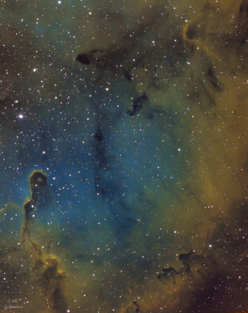 IC1396_Elefantenrüsselnebel