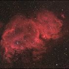 IC1848